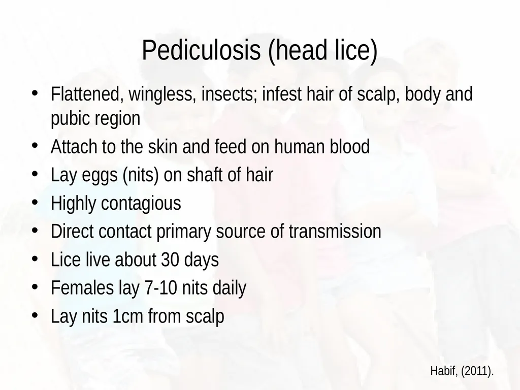 Commonly Seen Infectious and Non-Infectious Skin - slide 73 of 86
