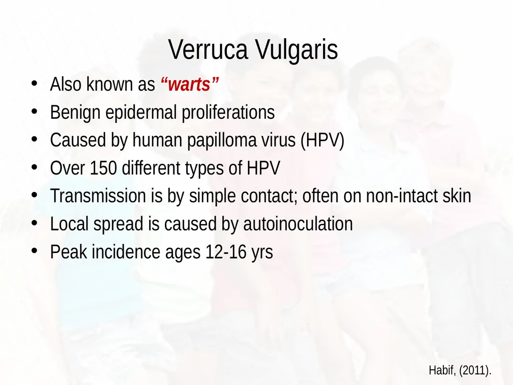 Commonly Seen Infectious and Non-Infectious Skin - slide 44 of 86