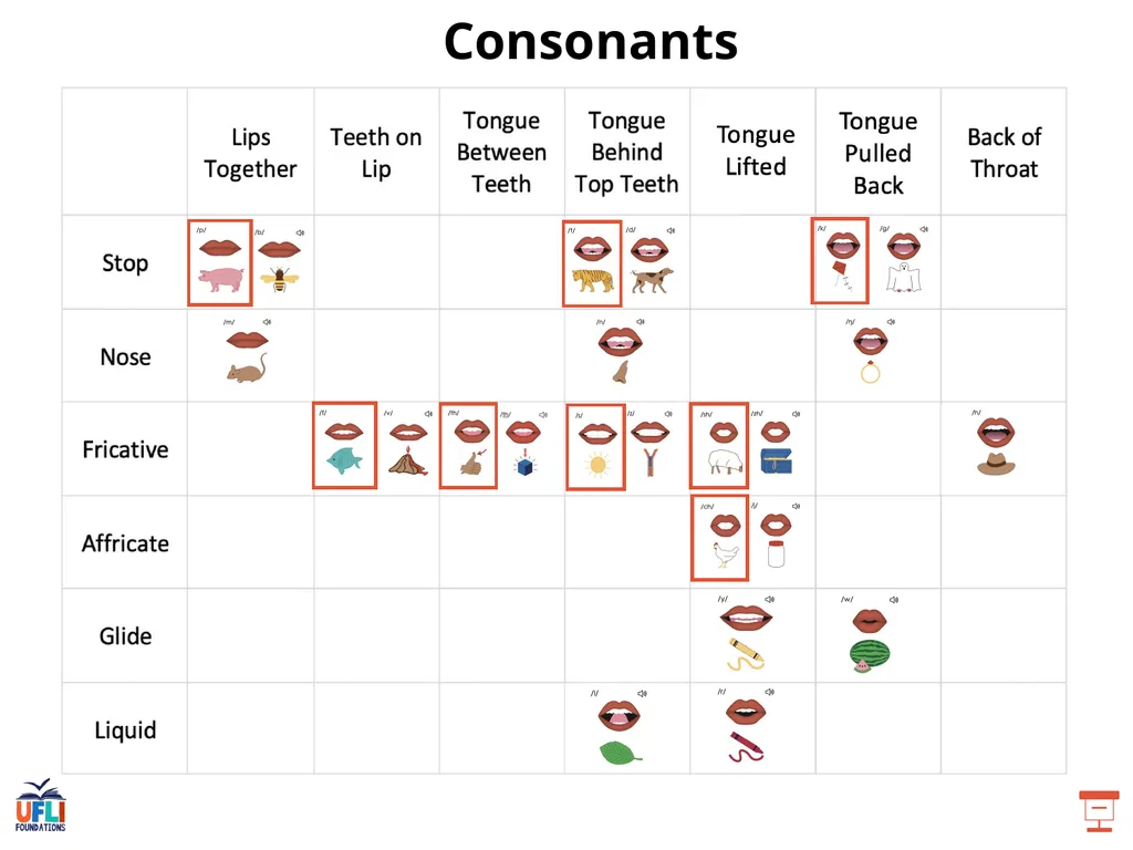 Getting Ready Lesson F Consonants Consonants - slide 10 of 25