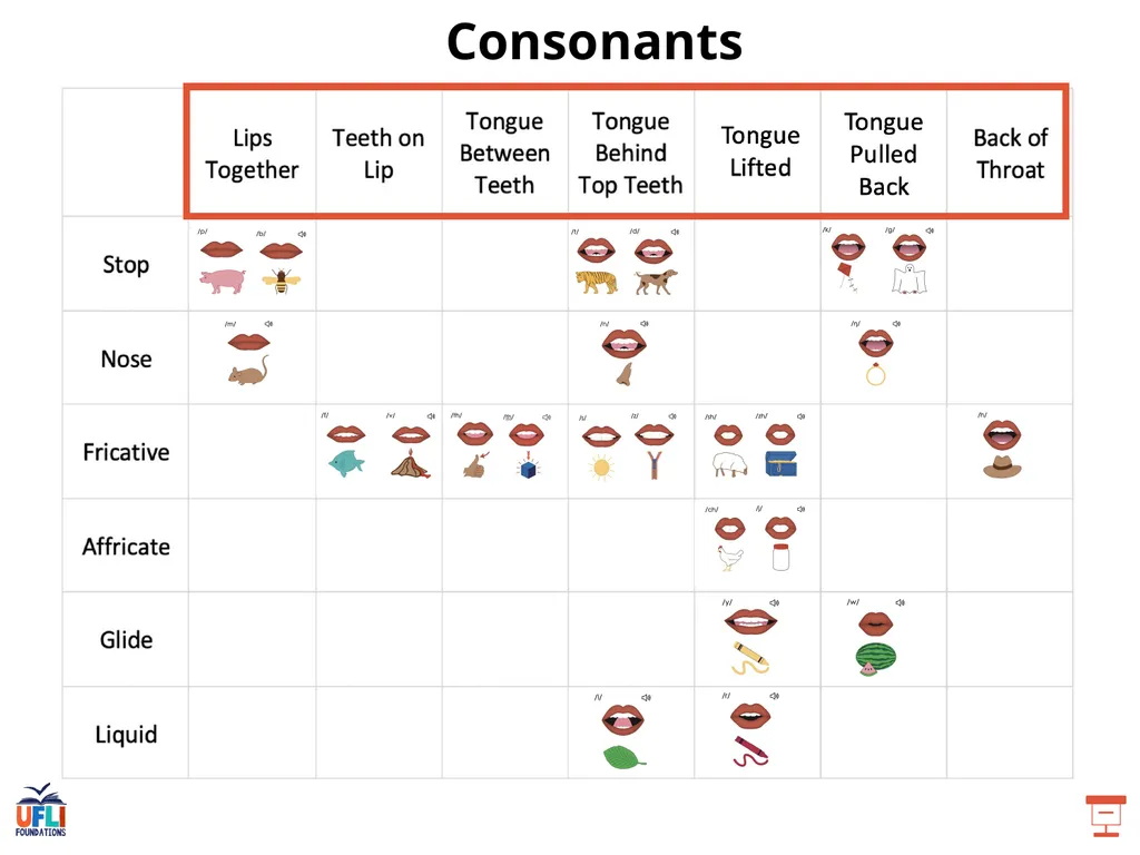 Getting Ready Lesson F Consonants Consonants - slide 7 of 25