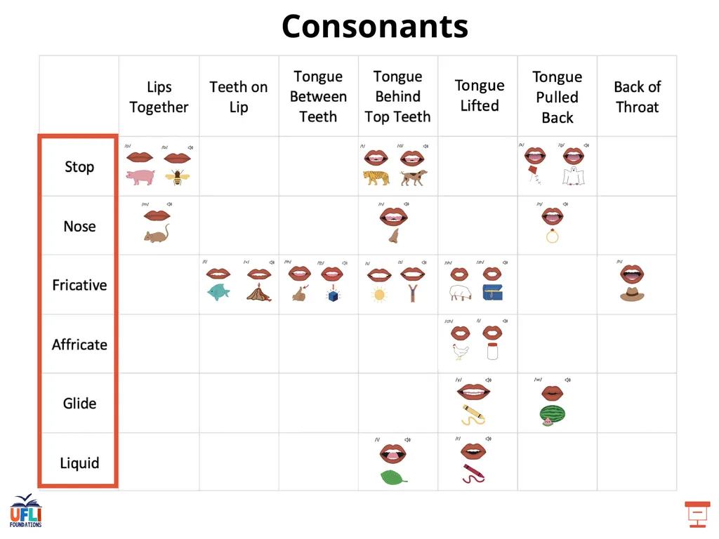 Getting Ready Lesson F Consonants Consonants - slide 8 of 25