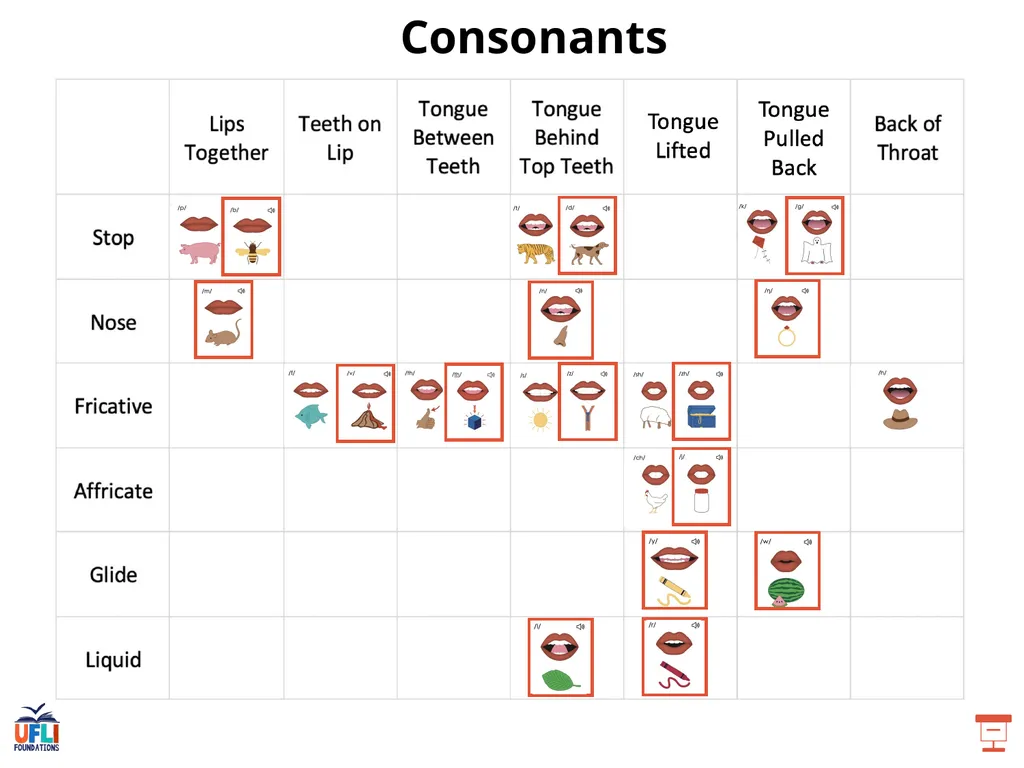 Getting Ready Lesson F Consonants Consonants - slide 9 of 25