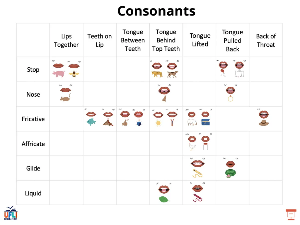 Getting Ready Lesson F Consonants Consonants - slide 6 of 25