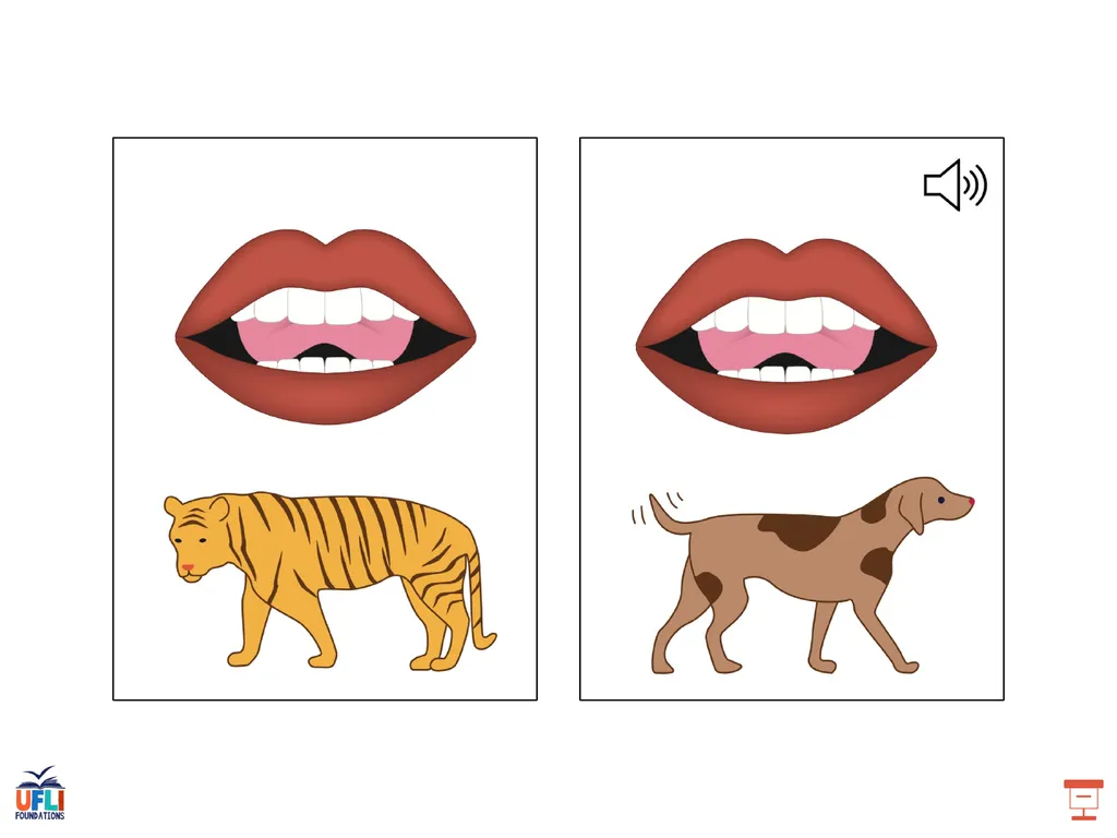 Getting Ready Lesson C Consonants Consonants - slide 10 of 34