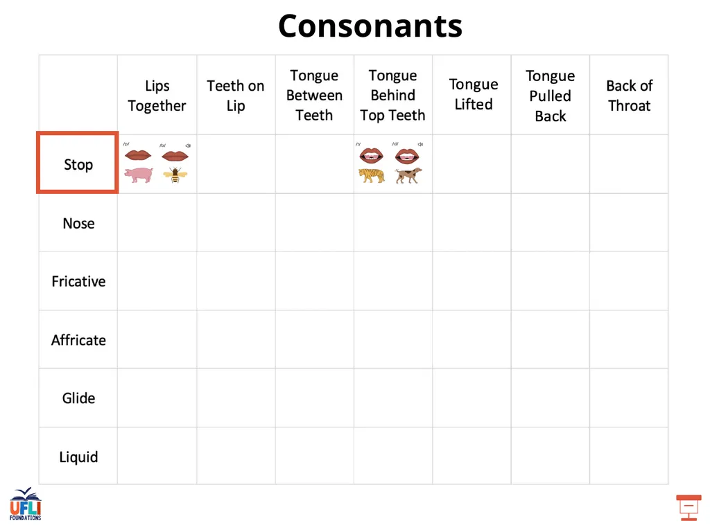 Getting Ready Lesson C Consonants Consonants - slide 11 of 34