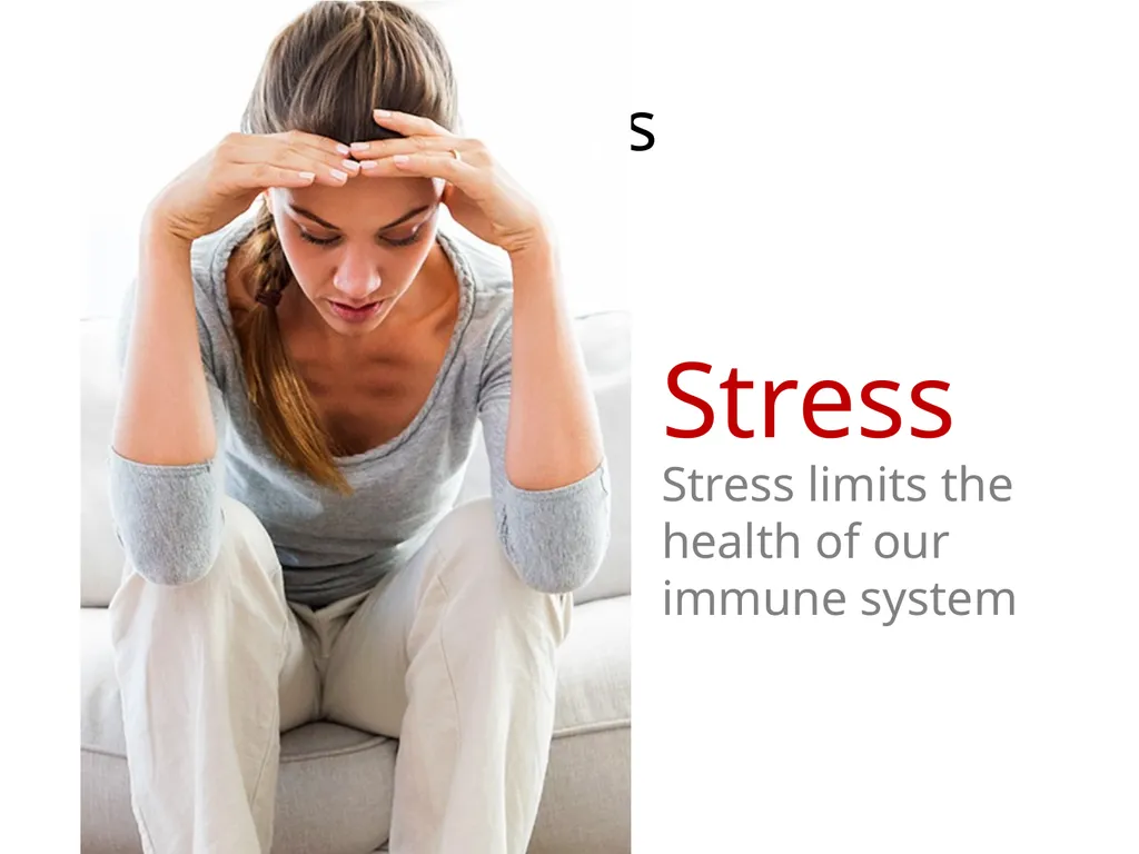 IMMUNE SUPPORT What Does the Immune System Do? - slide 7 of 15