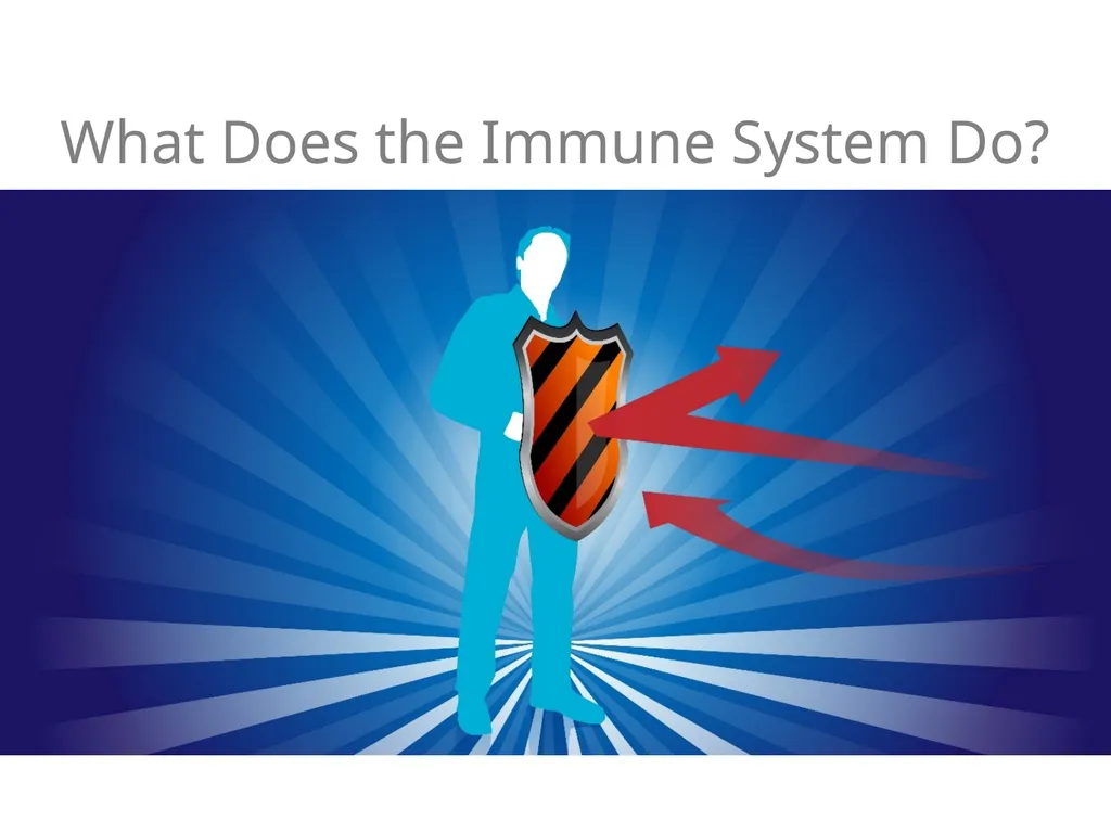 IMMUNE SUPPORT What Does the Immune System Do? - slide 2 of 15