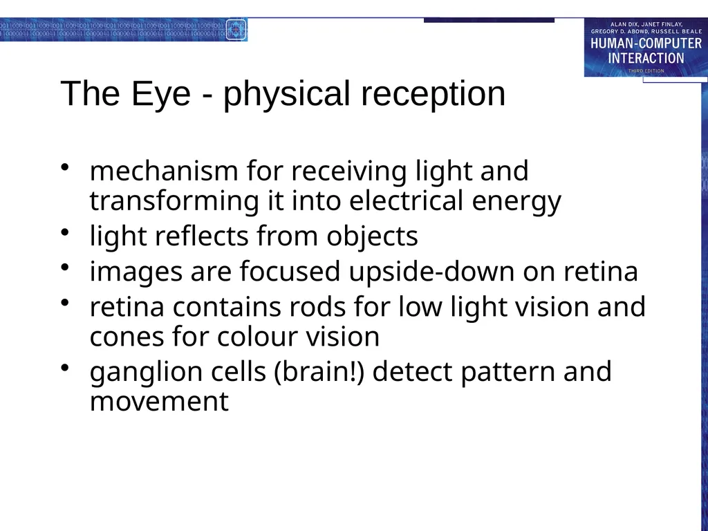 chapter 1 the human the human Information i/o … - slide 4 of 42