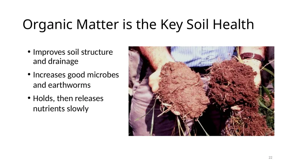 Introduction to Composting Nancy Allred UME Master - slide 22 of 26