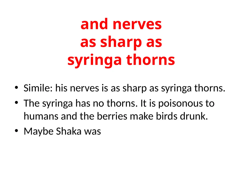 The Birth of Shaka Oswald Joseph Mtshali The life - slide 18 of 26