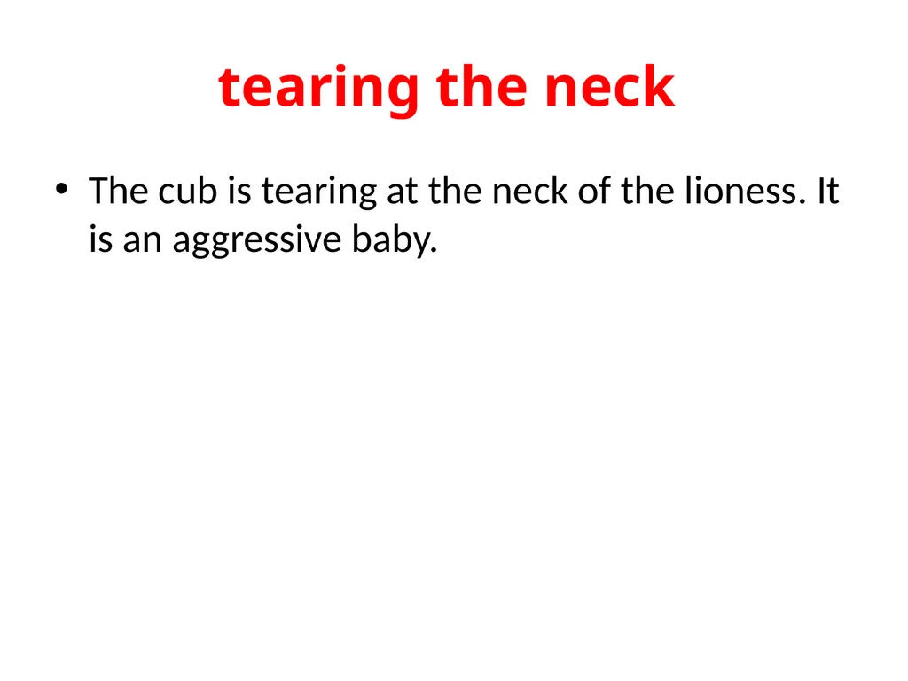 The Birth of Shaka Oswald Joseph Mtshali The life - slide 6 of 26