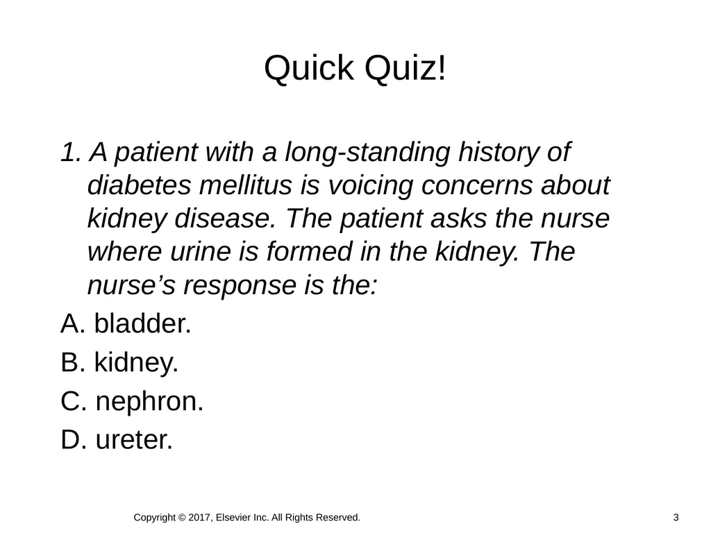 Chapter 46 Urinary Elimination Copyright © 2017, - slide 3 of 39