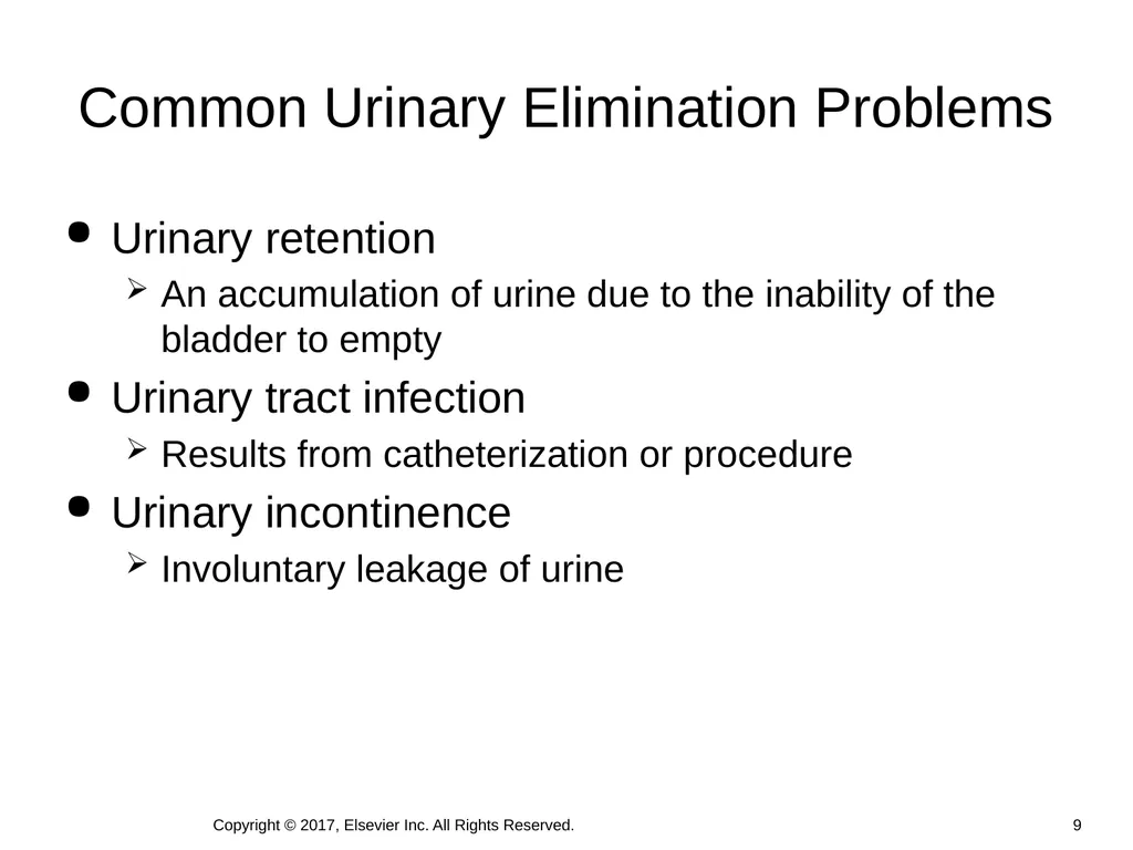 Chapter 46 Urinary Elimination Copyright © 2017, - slide 9 of 39