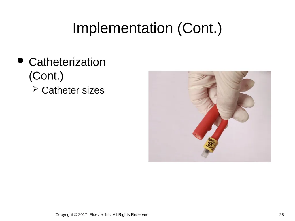 Chapter 46 Urinary Elimination Copyright © 2017, - slide 28 of 39
