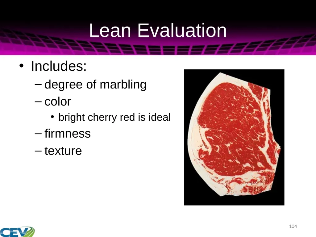 COPYRIGHT WARNING The unauthorized reproduction or - slide 104 of 234