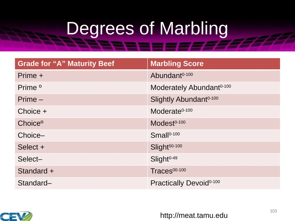 COPYRIGHT WARNING The unauthorized reproduction or - slide 105 of 234