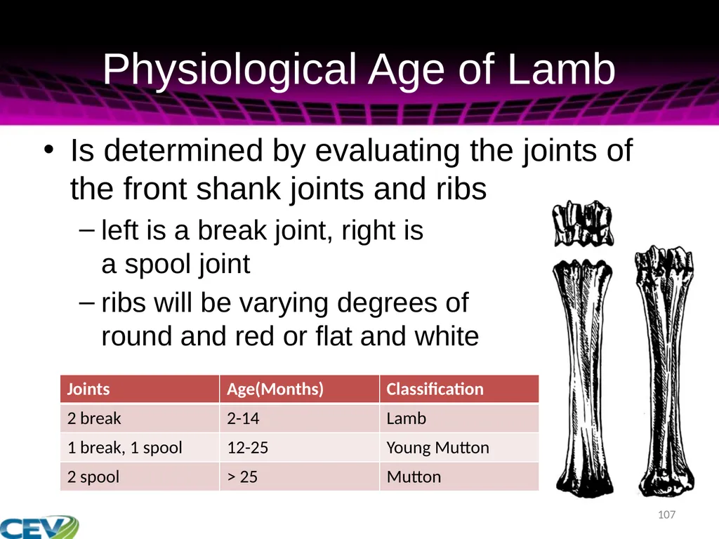 COPYRIGHT WARNING The unauthorized reproduction or - slide 107 of 234