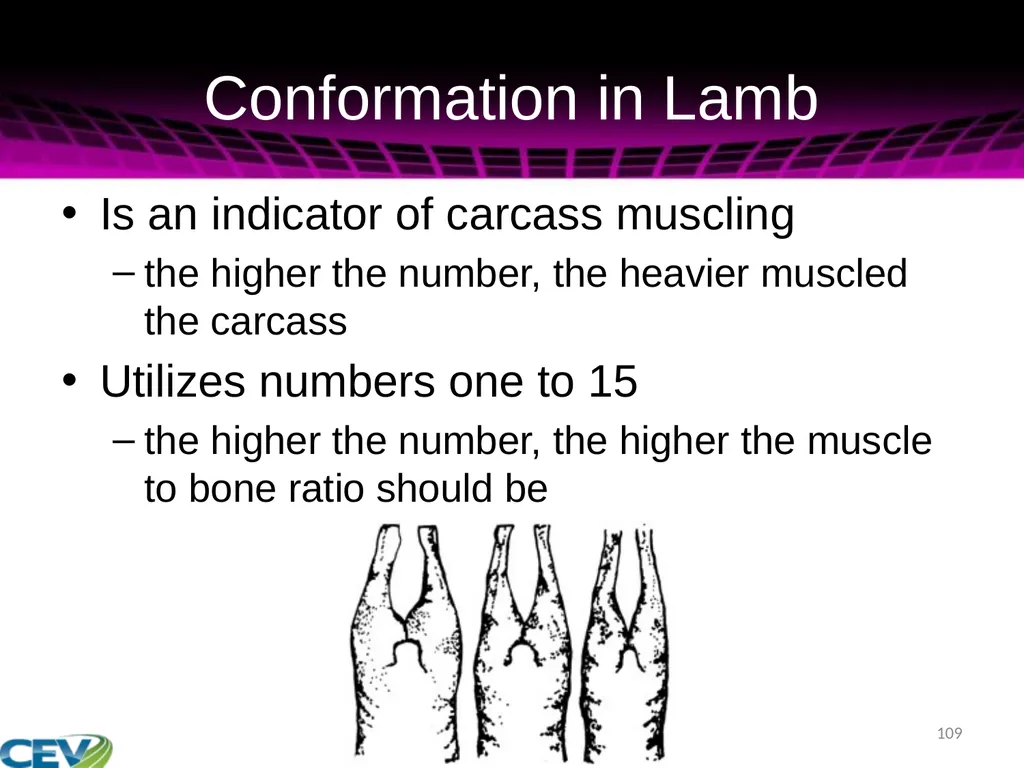 COPYRIGHT WARNING The unauthorized reproduction or - slide 109 of 234