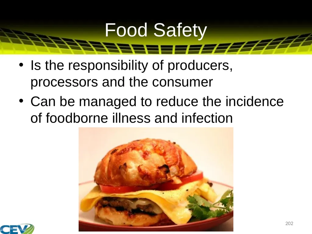 COPYRIGHT WARNING The unauthorized reproduction or - slide 202 of 234