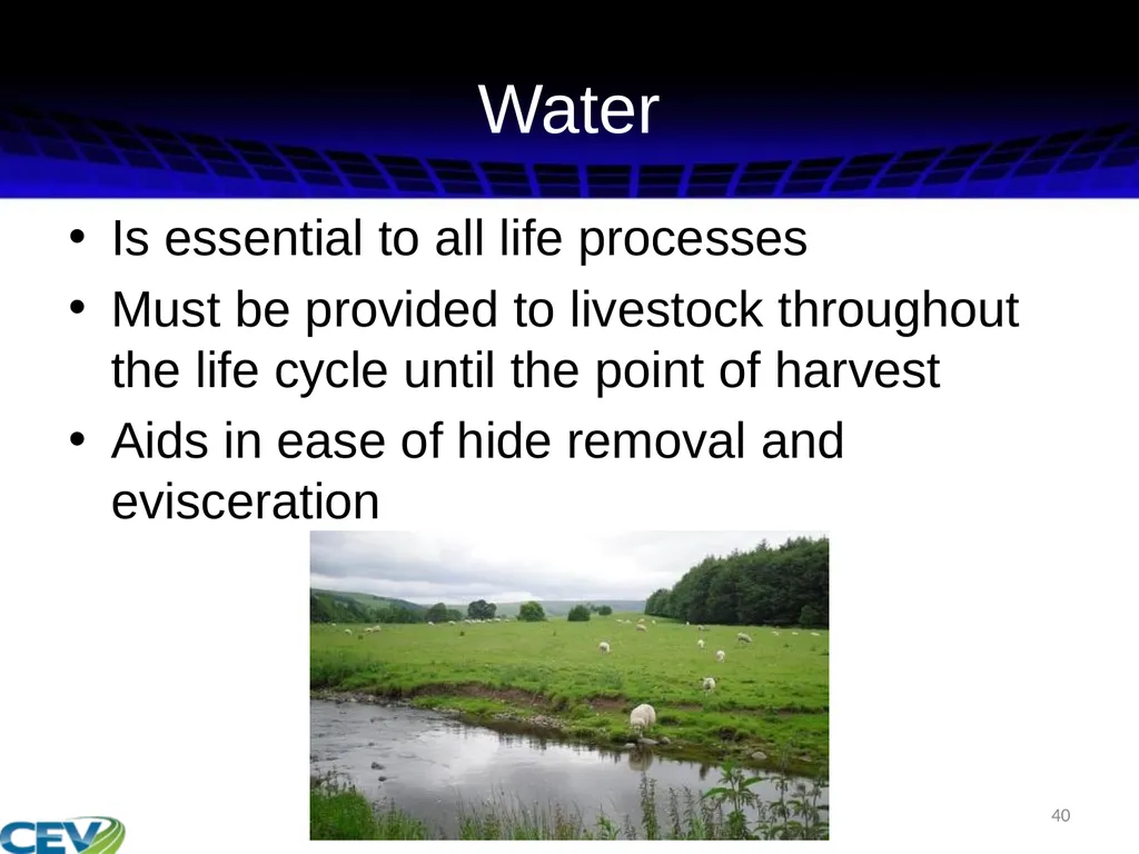 COPYRIGHT WARNING The unauthorized reproduction or - slide 40 of 234