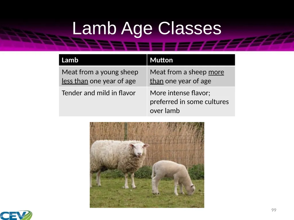 COPYRIGHT WARNING The unauthorized reproduction or - slide 99 of 234