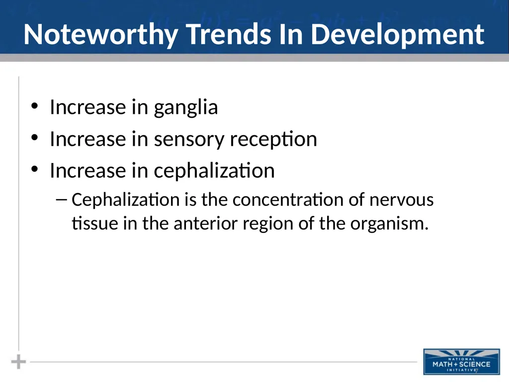 Nervous System: Part I Introduction to the Nervous - slide 7 of 23