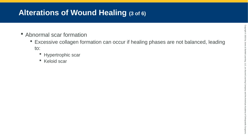 Soft-Tissue Trauma CHAPTER 32 Introduction The - slide 27 of 105