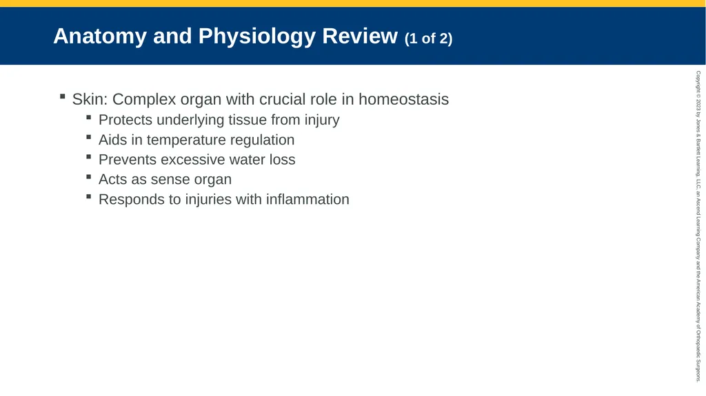 Soft-Tissue Trauma CHAPTER 32 Introduction The - slide 5 of 105