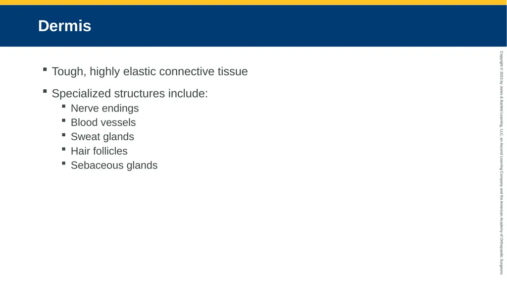 Soft-Tissue Trauma CHAPTER 32 Introduction The - slide 9 of 105