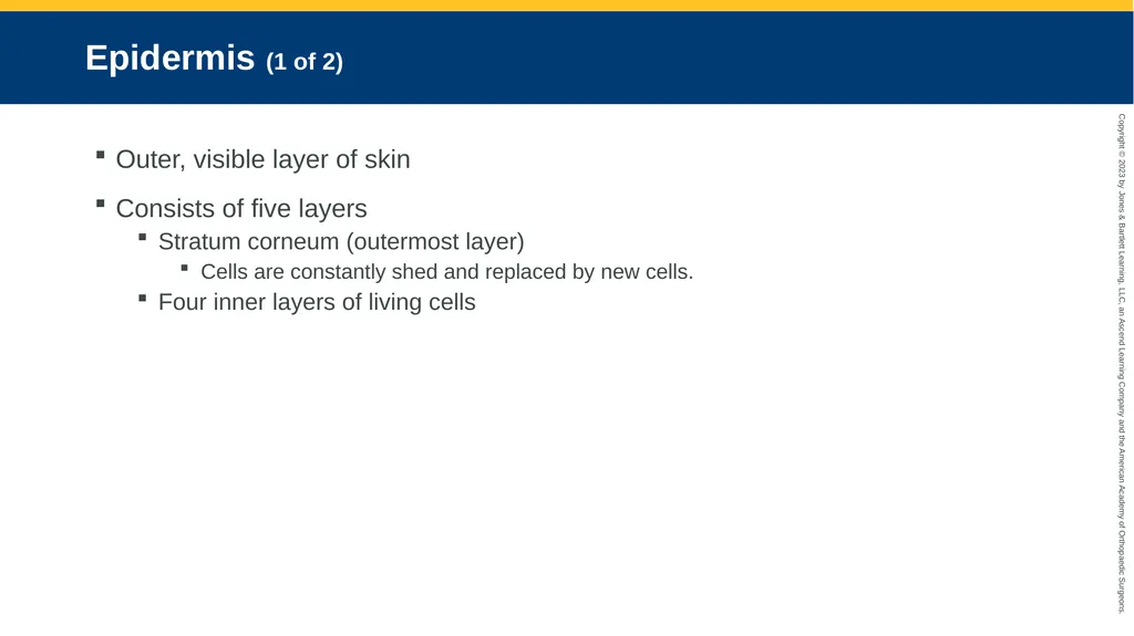 Soft-Tissue Trauma CHAPTER 32 Introduction The - slide 7 of 105