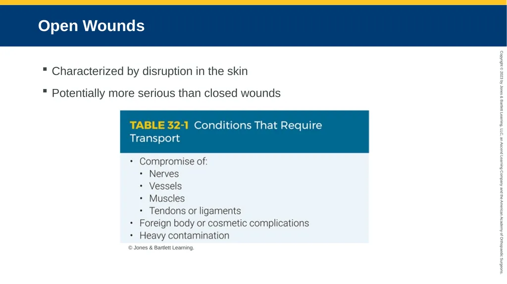 Soft-Tissue Trauma CHAPTER 32 Introduction The - slide 16 of 105