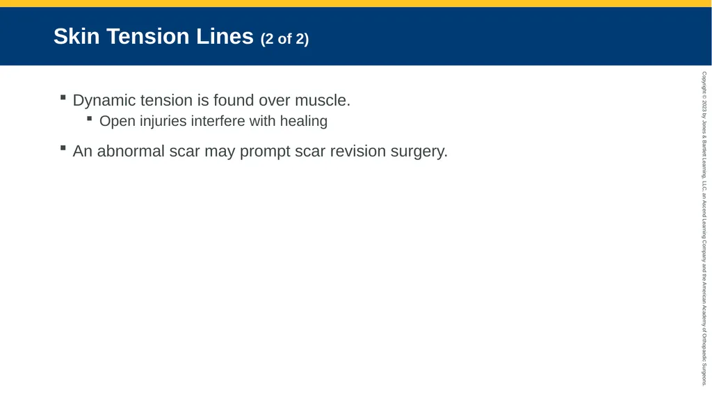 Soft-Tissue Trauma CHAPTER 32 Introduction The - slide 13 of 105