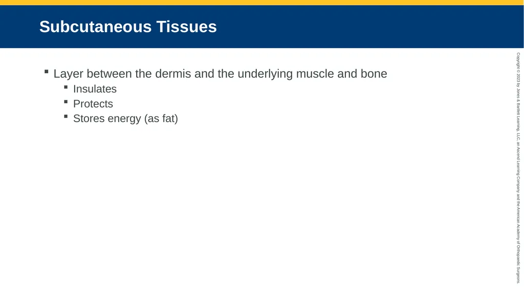 Soft-Tissue Trauma CHAPTER 32 Introduction The - slide 10 of 105