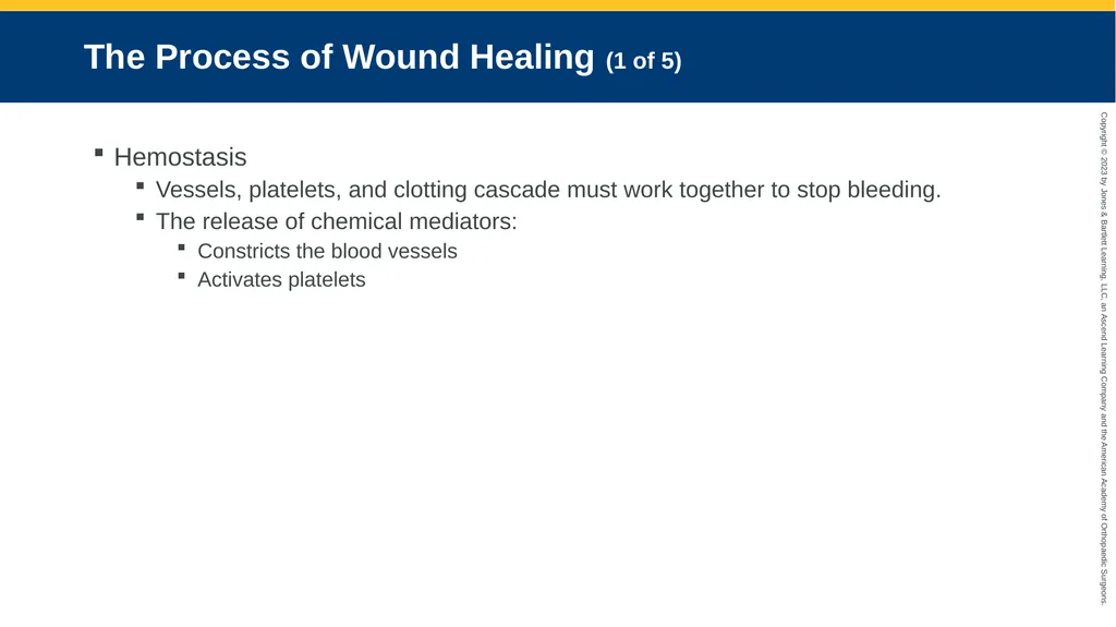 Soft-Tissue Trauma CHAPTER 32 Introduction The - slide 20 of 105