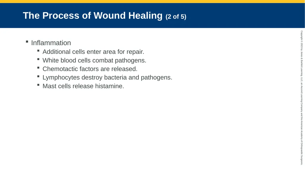 Soft-Tissue Trauma CHAPTER 32 Introduction The - slide 21 of 105