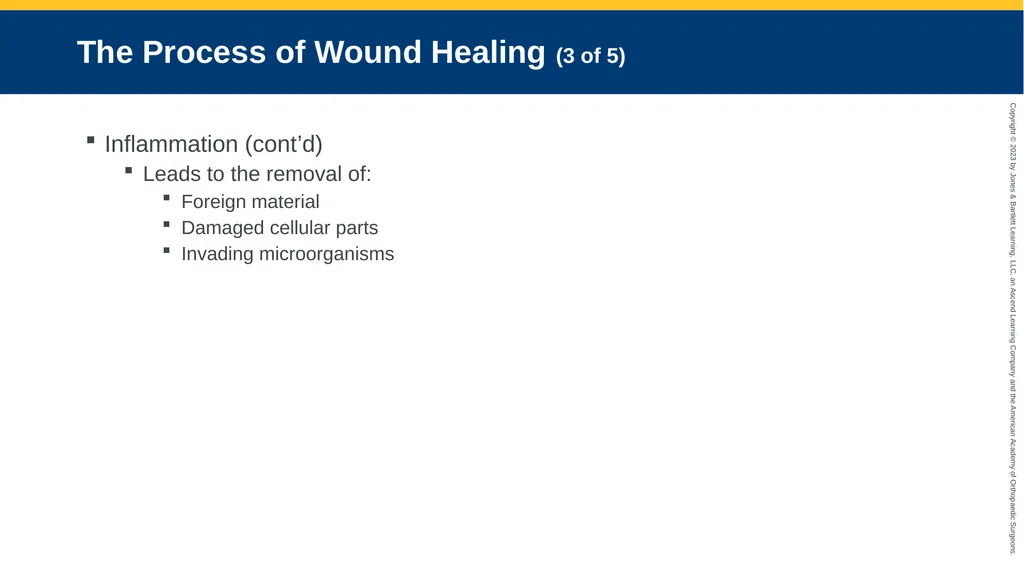 Soft-Tissue Trauma CHAPTER 32 Introduction The - slide 22 of 105