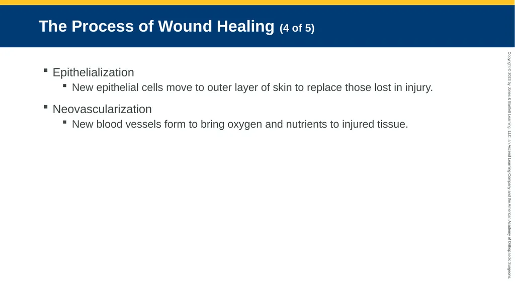 Soft-Tissue Trauma CHAPTER 32 Introduction The - slide 23 of 105