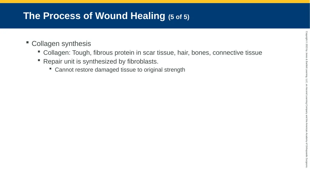 Soft-Tissue Trauma CHAPTER 32 Introduction The - slide 24 of 105
