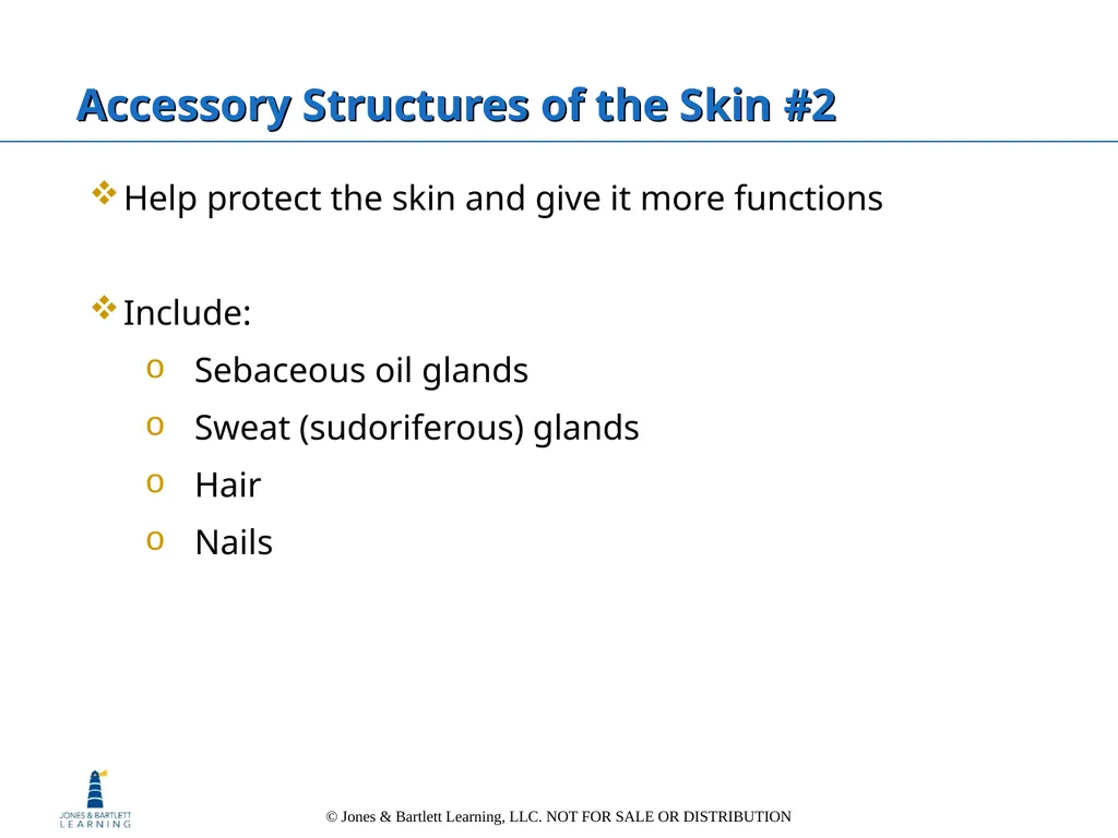 Chapter 6: The Integumentary System Overview Key - slide 26 of 84