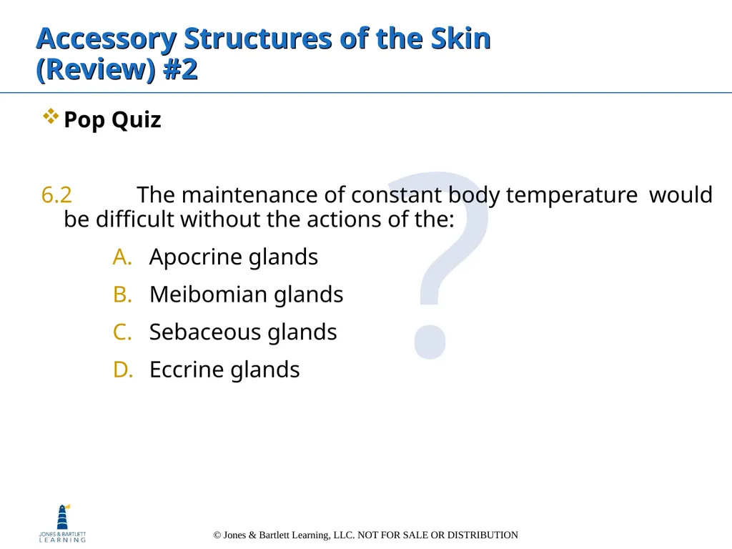 Chapter 6: The Integumentary System Overview Key - slide 33 of 84