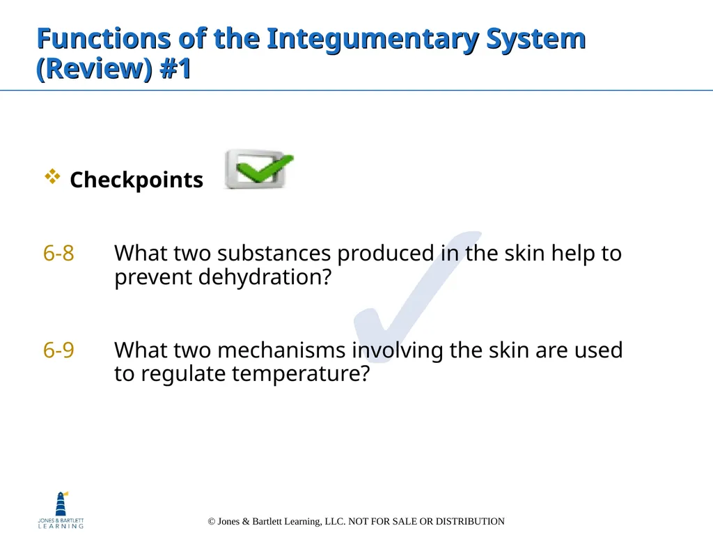 Chapter 6: The Integumentary System Overview Key - slide 42 of 84