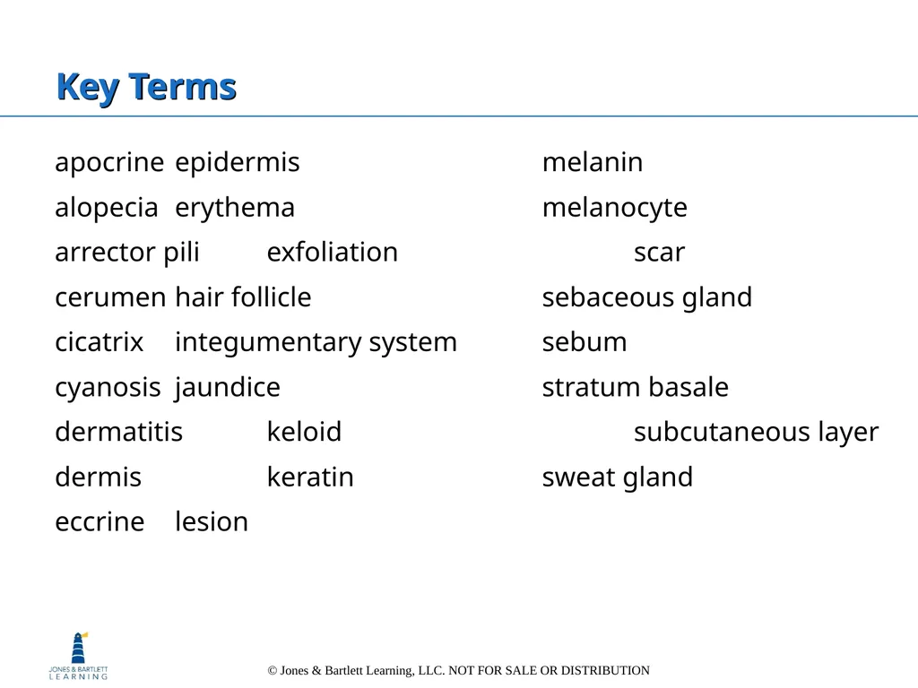 Chapter 6: The Integumentary System Overview Key - slide 3 of 84