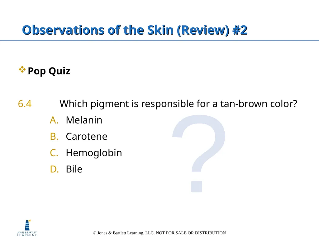 Chapter 6: The Integumentary System Overview Key - slide 49 of 84
