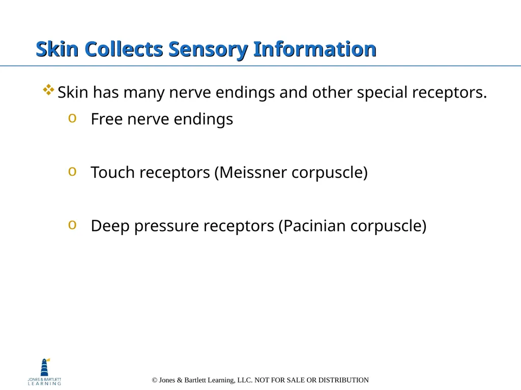 Chapter 6: The Integumentary System Overview Key - slide 40 of 84