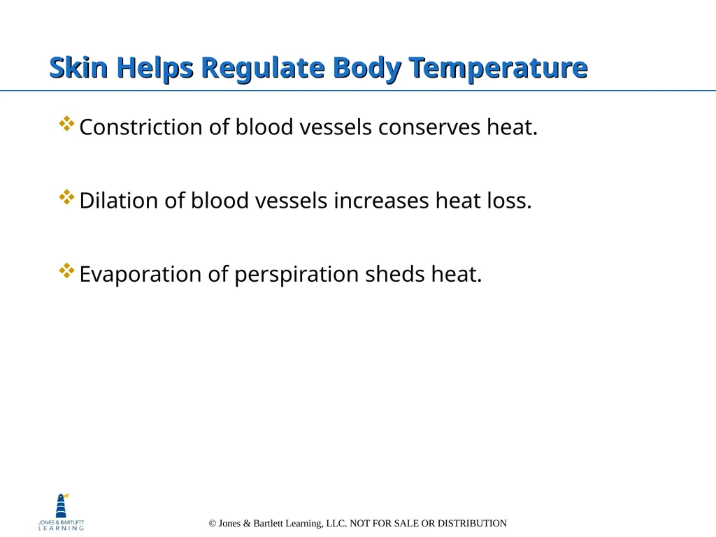 Chapter 6: The Integumentary System Overview Key - slide 39 of 84