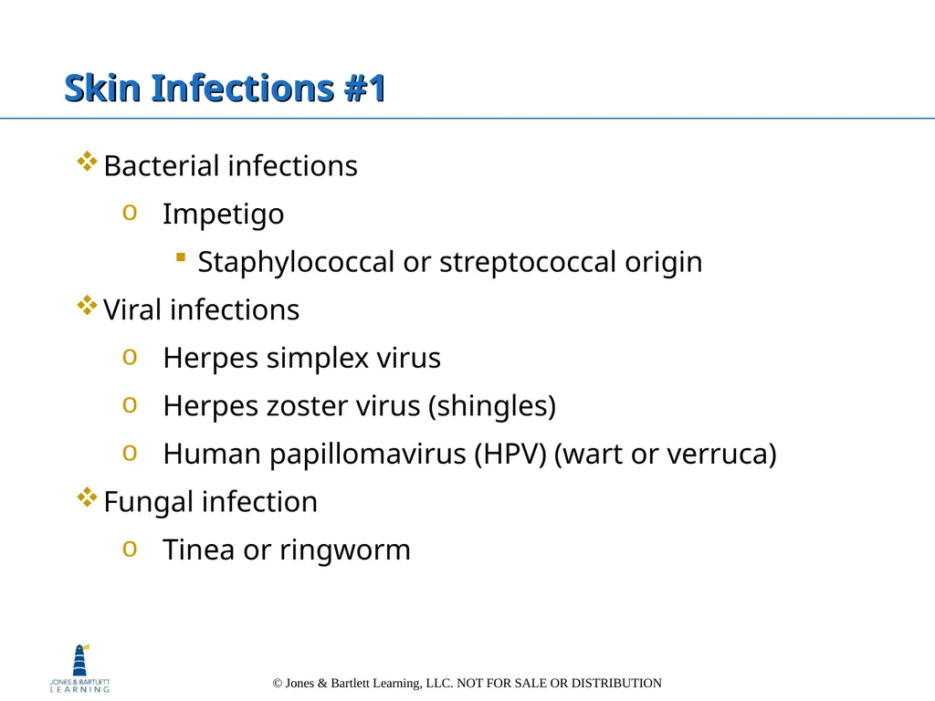 Chapter 6: The Integumentary System Overview Key - slide 66 of 84