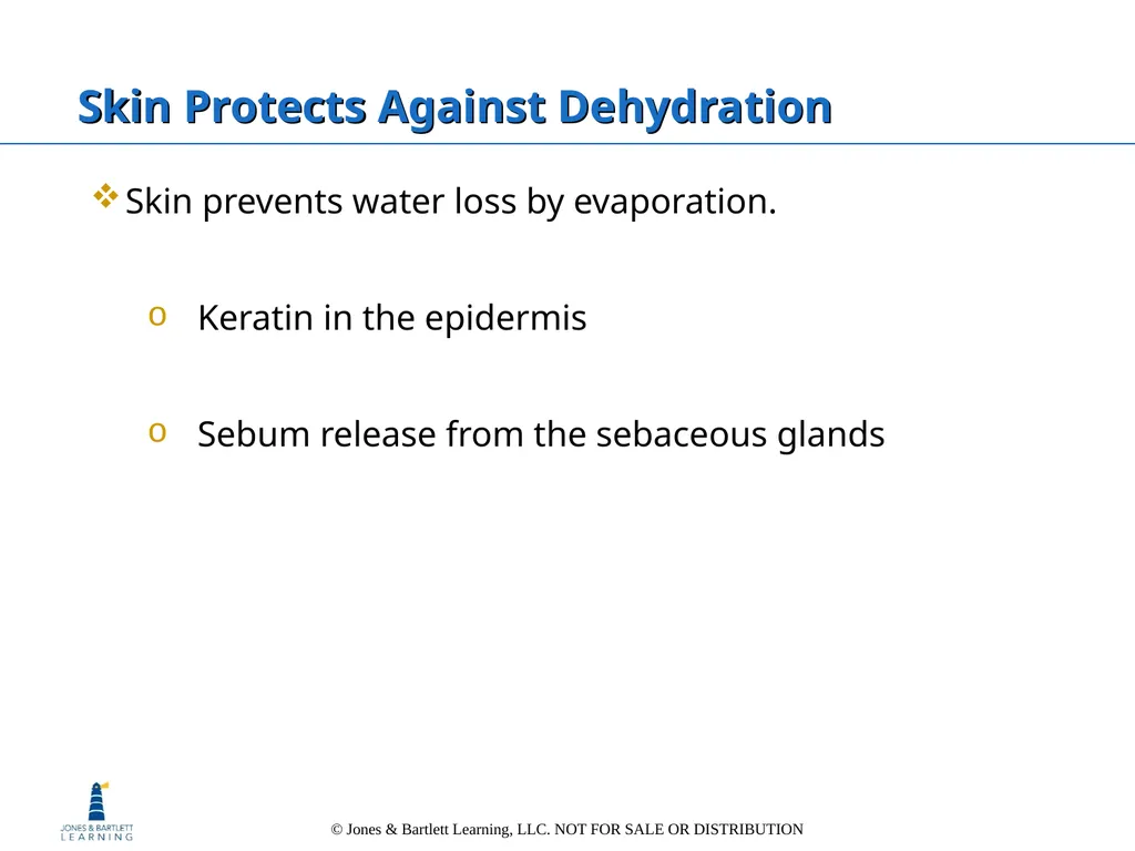 Chapter 6: The Integumentary System Overview Key - slide 38 of 84