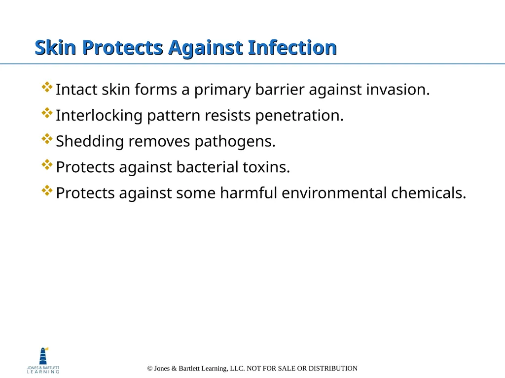 Chapter 6: The Integumentary System Overview Key - slide 37 of 84