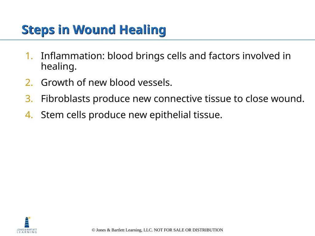 Chapter 6: The Integumentary System Overview Key - slide 52 of 84