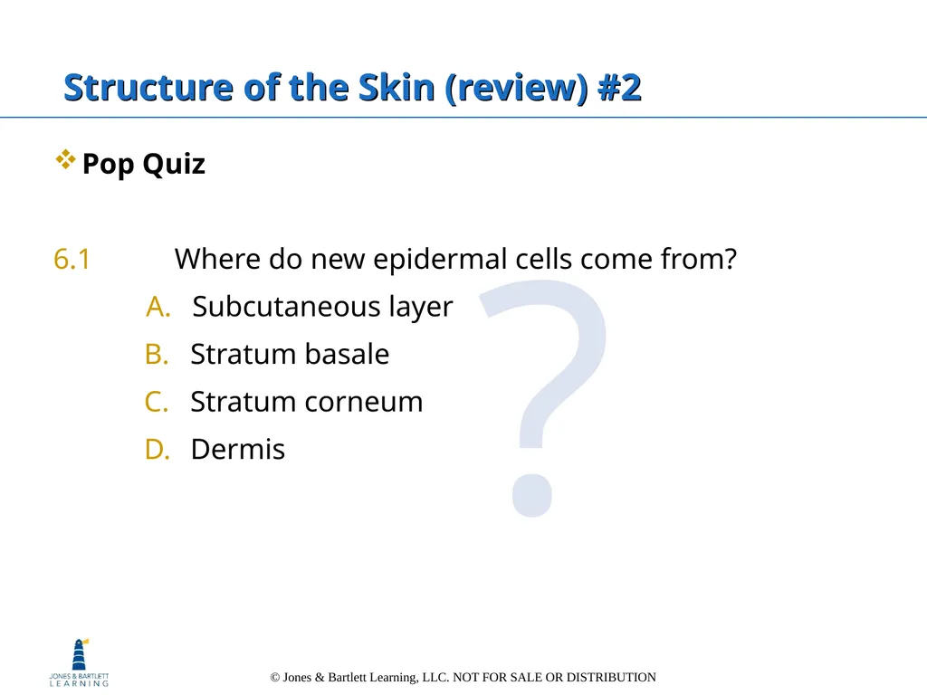 Chapter 6: The Integumentary System Overview Key - slide 23 of 84